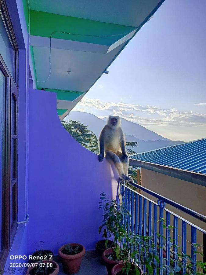 Guest house Yoga House McLeod Ganj
